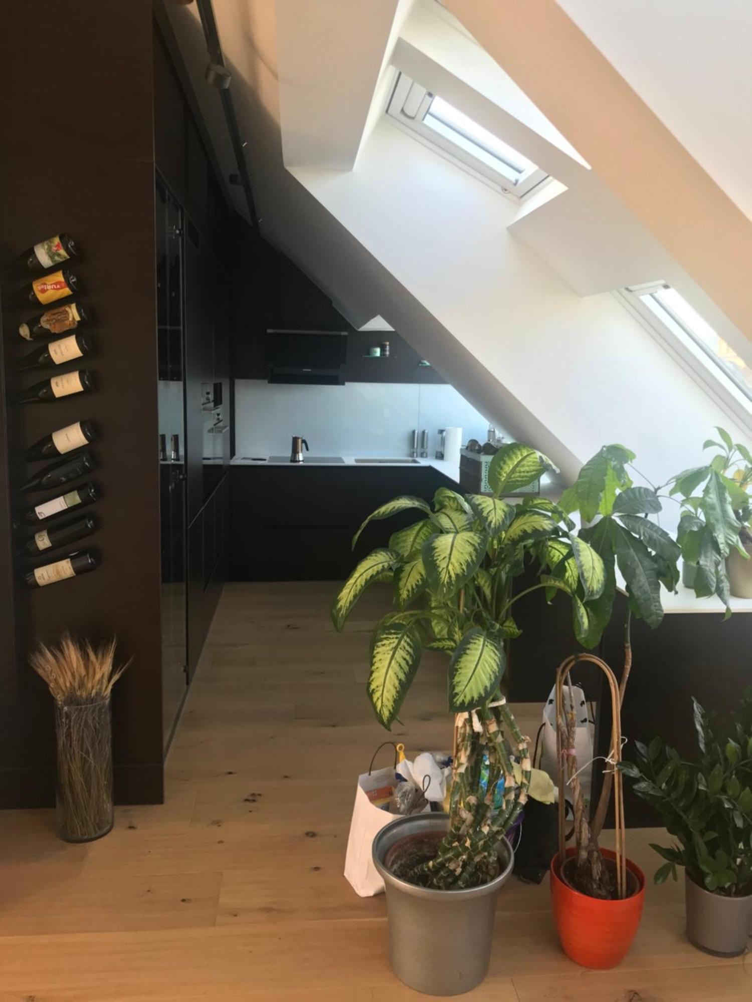 Grosszuegiges Dachterrassen-Appartment Mit Klimaanlage Und Wunderbarem Ausblick Vienna Luaran gambar